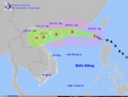 Bão Wipha đã tăng cấp chóng mặt: 13 tỉnh, thành phố khu vực Bắc Bộ, Bắc Trung Bộ sẵn sàng ứng phó