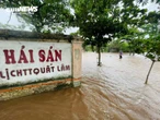 Bãi biển Quất Lâm ngập sâu, lực lượng chức năng lập chốt ngăn dân ra check-in