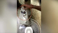 Ăn trộm chiếc quạt về nhà, người đàn ông lập tức phải "trả giá", dân mạng biết chuyện thì cười bò