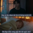 Lần đầu có mỹ nhân được khen "lấy sắc đẹp bù cho trí thông minh", không biết nên vui hay buồn!?