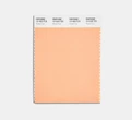 Pantone công bố màu của năm 2024: Đại diện cho lòng nhân ái, sự kết nối con người và sức khỏe tinh thần