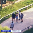 Bất ngờ chưa: Taylor Swift - Travis Kelce và Sooyoung - Jung Kyung Ho cùng hẹn hò ở Vườn thú Sydney, "vùng đất tình yêu" là đây sao?