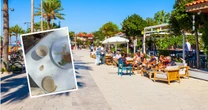 Turystka pokazała obrzydlistwa w hotelu w Turcji. Mdli na sam widok