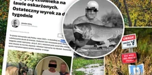 Psy rozszarpały grzybiarza pod Zieloną Górą. To nie pierwszy przypadek, kiedy czworonogi tej rasy zabijają w Polsce