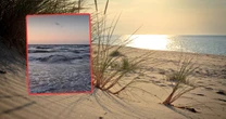 Martwy wieloryb przy plaży w Wisełce. Wiadomo, co zrobią z ciałem