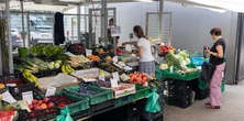 "Ceny osiągnęły rekordowy poziom". Polacy szykują się na przetwory, a tu taki cios