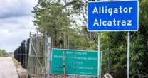 Aligatory otaczają ośrodek dla migrantów. Burmistrz Florydy zabrał głos