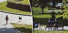 3-latka omal nie zginęła pod kołami aut. Matka przyznała, że... "wciągnęła kreskę"