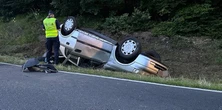 Sarna wbiegła wprost pod auto z trójką małych dzieci. Kierowca nie miał szans