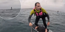 Przerażające nagranie. Rekin ruszył w pościg za surferem. "Nie spadnij!"
