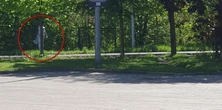 To miał być chytry plan. Sztuka kamuflażu się nie udała. To nagranie stanie się legendarne