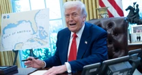 Senator komentuje decyzję Donalda Trumpa. "Chaos w końcu opadnie"