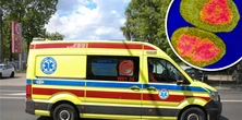 Ta groźna bakteria atakuje błyskawicznie. Wystarczy jedno kichnięcie, a kończy się poważnie