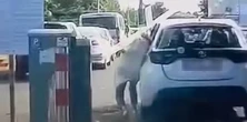 Kuriozalna sytuacja przed szpitalem w Jastrzębiu-Zdroju. Nagranie niesie się po sieci