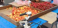Tak handlarze oszukują na czereśniach. Ujawnili trik. "Badziewie"