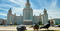 Uniwersytecka klęska Putina. Rosyjskie uczelnie spadają w światowych rankingach. "Bezprecedensowy odpływ kadry naukowej"