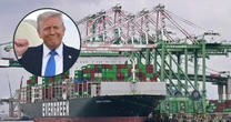 Odporna gospodarka USA jest w stanie przetrwać szok celny wywołany przez Trumpa [OPINIA]
