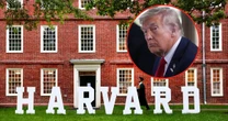 Donald Trump odniósł porażkę w walce z Harvardem. Teraz przekuwa ją w zwycięstwo. "To będzie historyczne porozumienie"