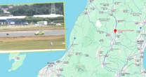 Nietypowa sytuacja na lotnisku w Japonii. Czarny niedźwiedź sprawcą zamieszania