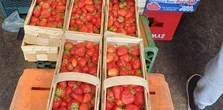 Sprzedawca truskawek nie wytrzymał. Wśród kobiałek taka kartka do klientów
