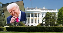 Troll i klon Elona Muska. Donald Trump wskazuje potencjalnych następców. Ekspert przewiduje, co nas czeka