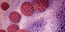 Wirus brodawczaka ludzkiego. Co oznacza pozytywny wynik testu na obecność HPV?