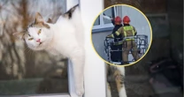Strażacy uratowali uwięzionego kota. W ten sposób "mógł złamać kark"