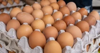 Już w czerwcu zmiany w handlu z Ukrainą. 13 produktów zwolnione z licencjonowania