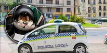 2-latek zmarł w nagrzanym aucie. Ojciec zapomniał, że przyjechał z nim do pracy