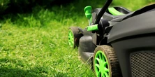 Ta niedroga kosiarka ma pojemną baterię i spory kosz. "Kosi dużą trawę do połowy kolan"