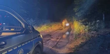 Zgubili się, zastała ich noc. Potem zobaczyli ślady dużego zwierzęcia