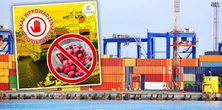 Zatrzymano transport truskawek do Polski. Powód? Obrzydliwy