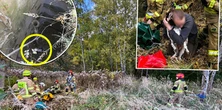 Biegał po łące, aż nagle zniknął. 10 m grozy na Śląsku