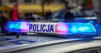 Gang złodziei samochodów rozbity. Łupy warte ponad 3 mln zł