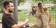Trzeba mieć mocne nerwy. Zoo szuka chętnych do pracy