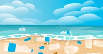Skąd śmieci na plażach? Wyniki badań