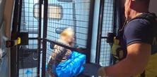Brutalny atak w Warszawie. Pijana rzuciła się z pięściami na pielęgniarkę