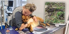 Żmija ukąsiła psa pani Łucji. Zwierzę nie przeżyło. "Szukałam leku w całej Polsce"