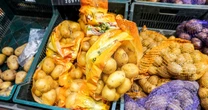 Ceny ziemniaków w Rosji rosną najszybciej od lat. Naukowcy mają rozwiązanie — odkryli metodę na ich domową uprawę