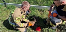 To maleństwo utknęło w wykopie. Strażacy z Oleśnicy ruszyli na ratunek