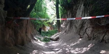 Konar spadł i ranił 10 osób na wycieczce szkolnej. Wszczęto śledztwo w sprawie wypadku