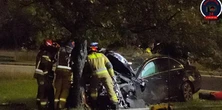 Nocny wypadek w Warszawie. Rozbity mercedes, psy w aucie i mężczyzna w kajdankach