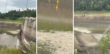 Katastrofa ekologiczna na Zalewie Pilchowickim. Tysiące śniętych ryb zalega w Bobrze. "Cmentarzysko"