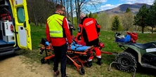 Dramat w Bieszczadach przed wielką majówką. Ukąszony 16-latek trafił do szpitala