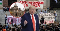 "Wyrok śmierci dla Harvardu jako globalnej elitarnej instytucji". Donald Trump zaciska pętlę na szyi uniwersytetu