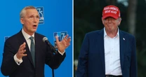 "NATO jest w wielkiej panice". Europa przygotowuje się na powrót Donalda Trumpa. Ekspert: może zmusić Ukrainę do ustępstw