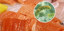 GIS alarmuje. Nie jedz tego produktu. Wykryto groźną bakterię