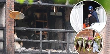 Wstrząsająca śmierć matki w ciąży i trójki dzieci. Śledczy mają straszną hipotezę
