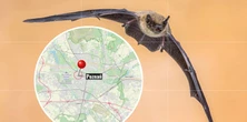 Ograniczenia, nakazy i strefa pod specjalnym nadzorem. W Poznaniu ogłoszono alarm dla mieszkańców