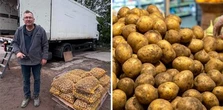 Polacy kupują tanio, rolnicy liczą straty. "Najmniej zarabiamy my"
